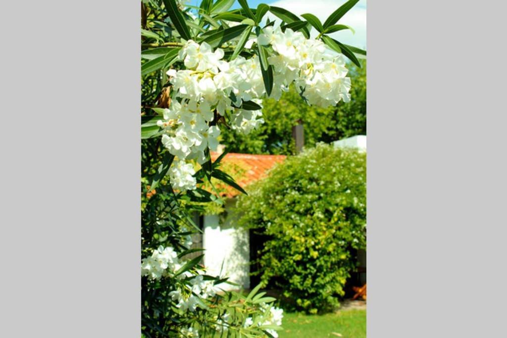 Big Beautiful House With Garden In 5Ta Seccion Neighbourhood Villa Mendoza Exterior photo