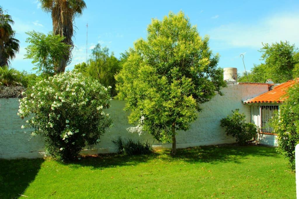 Big Beautiful House With Garden In 5Ta Seccion Neighbourhood Villa Mendoza Exterior photo